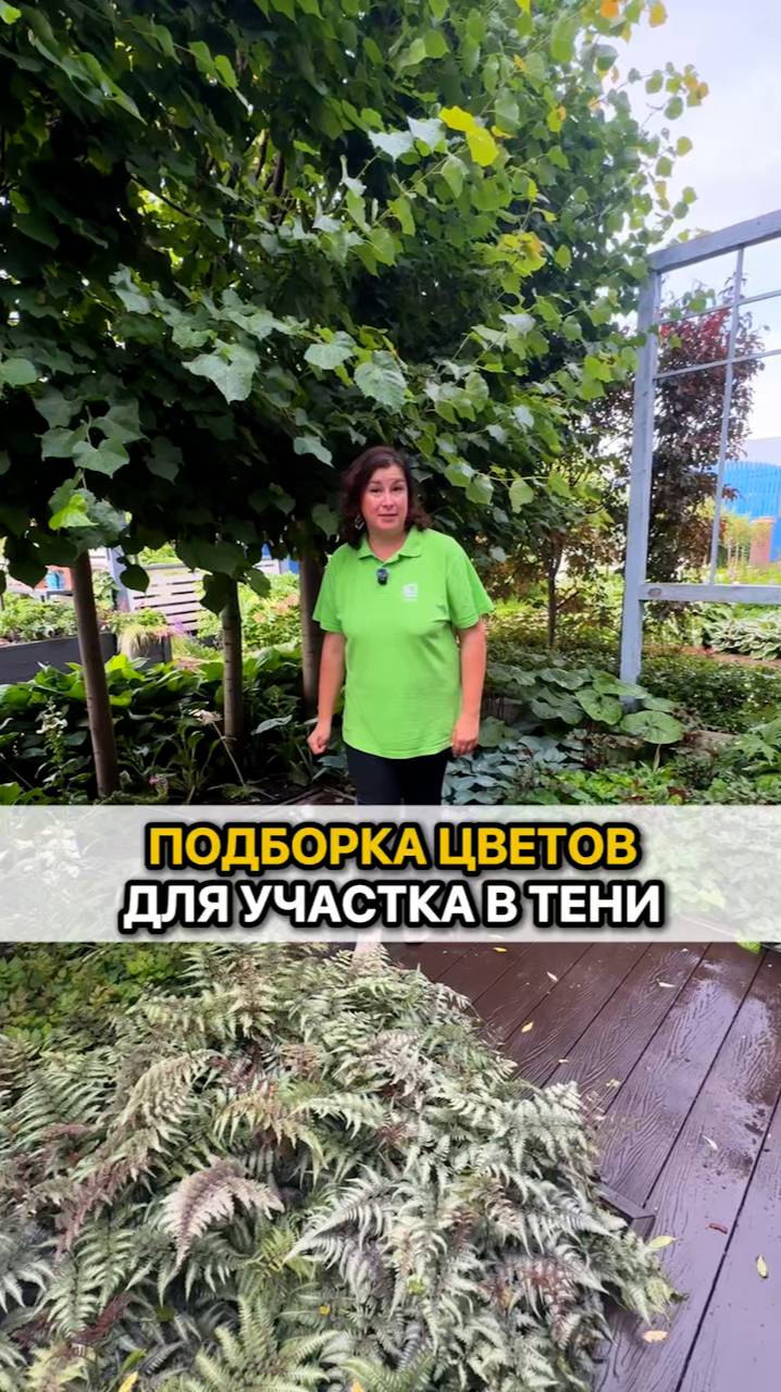Лучшая подборка цветов для участка в тени!