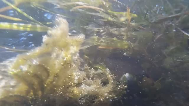 Родник "Теплый ключ" в Арти