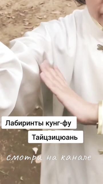 Лабиринты Кунг-фу Кунг-фу Мэйкю - Тай Чи 99 форм