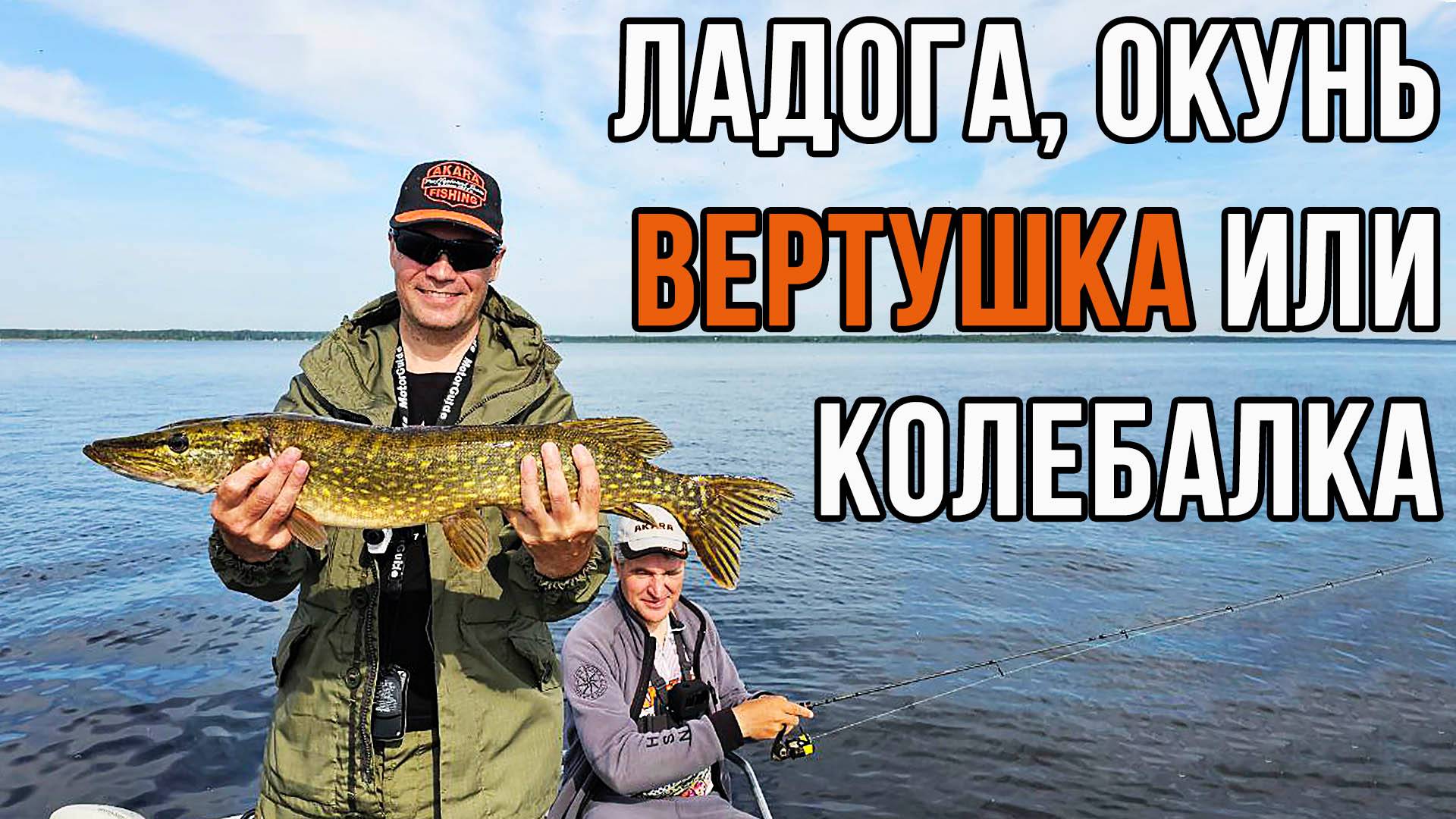 Ладога, окунь, вертушка или колебалка.