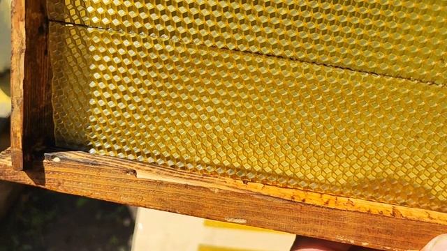 Прикатывать ли вощину к верхнему бруску рамки?