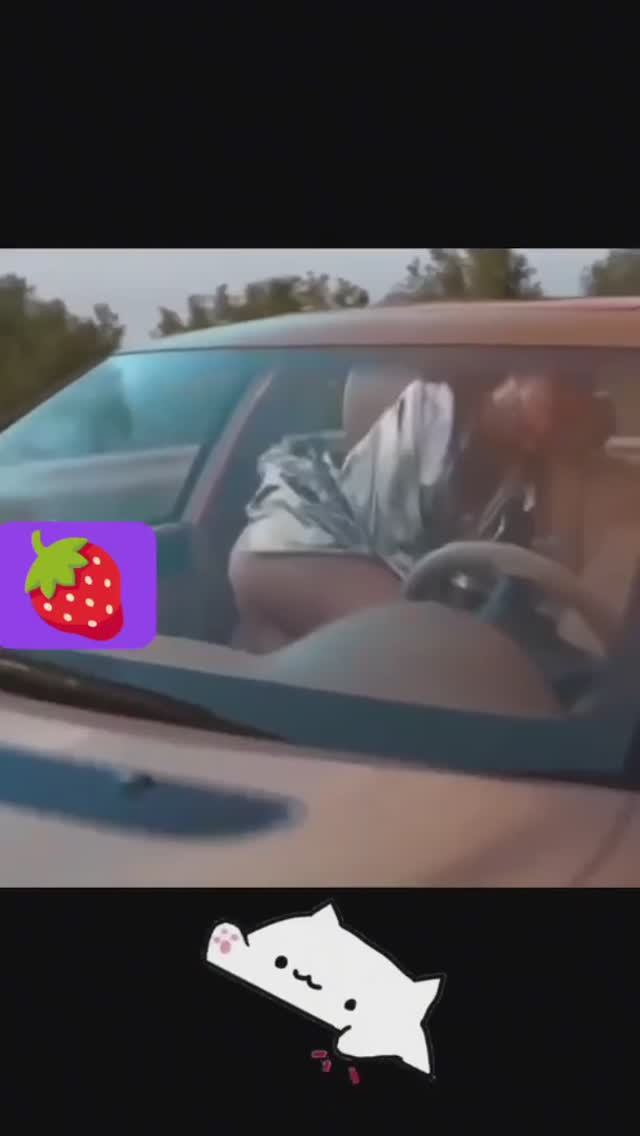 Попутчики😘