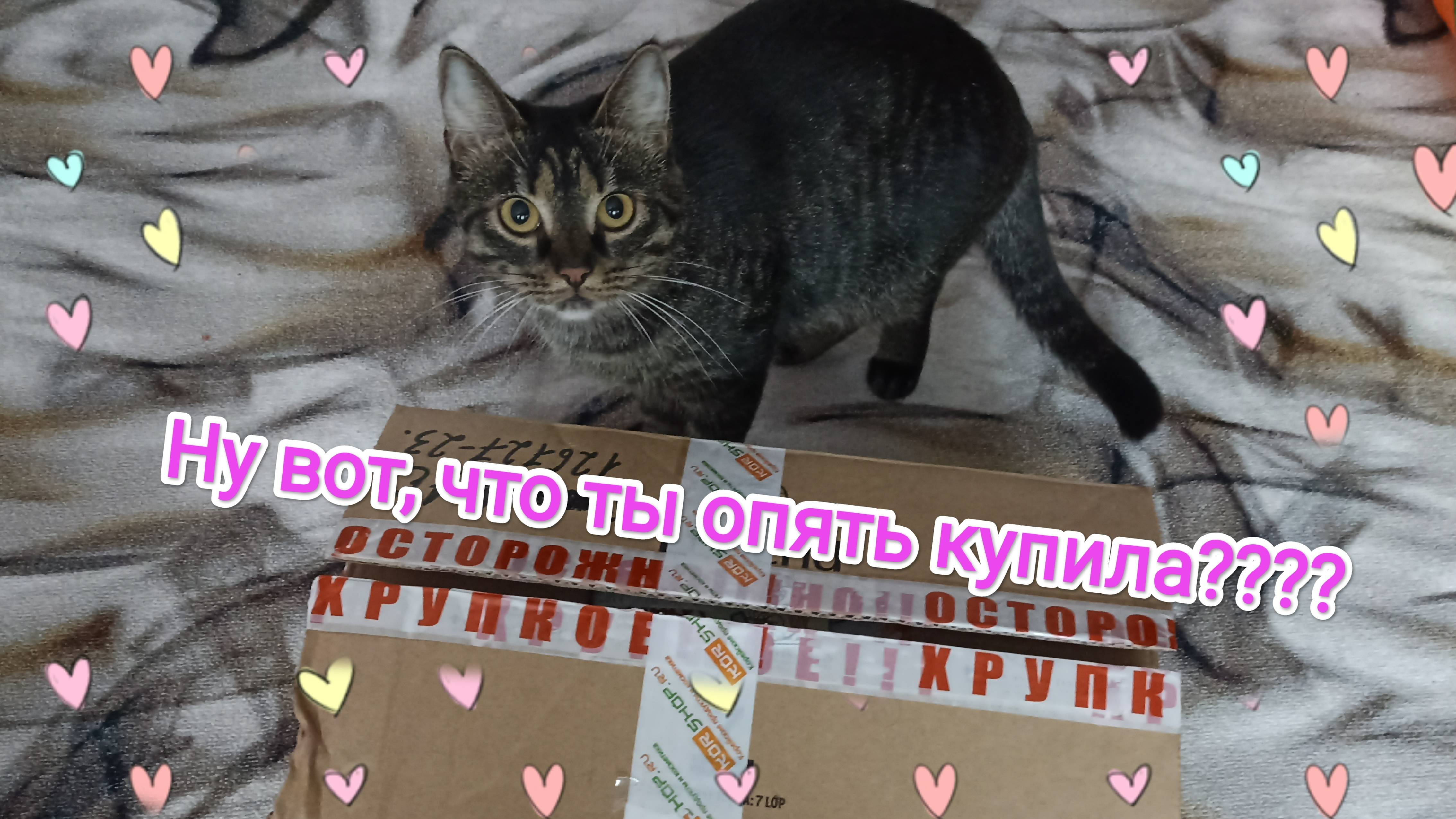 Обзор закупки на Коршоп.ру