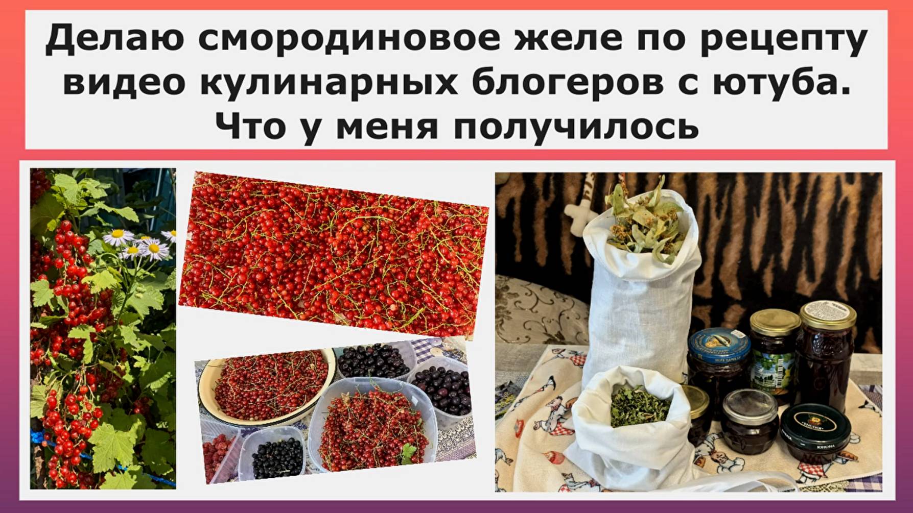 Делаю смородиновое желе по рецепту с ютуба. Что у меня получилось.Желе,джем или конфитюр? Но вкусно