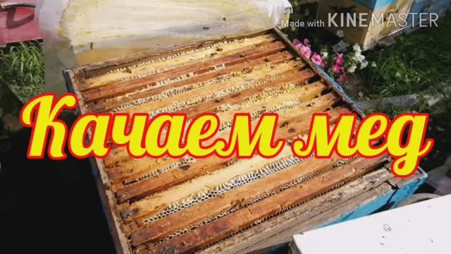 Качаем мед. Краткий обзор. Конец сезона!)