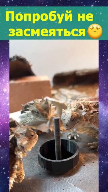 Оуу май...😶