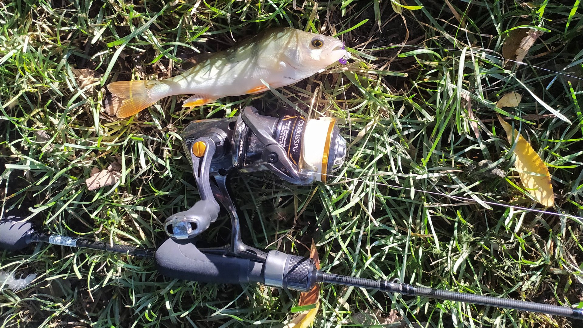 МОРМЫШИНГ. Приток Десны после половодья