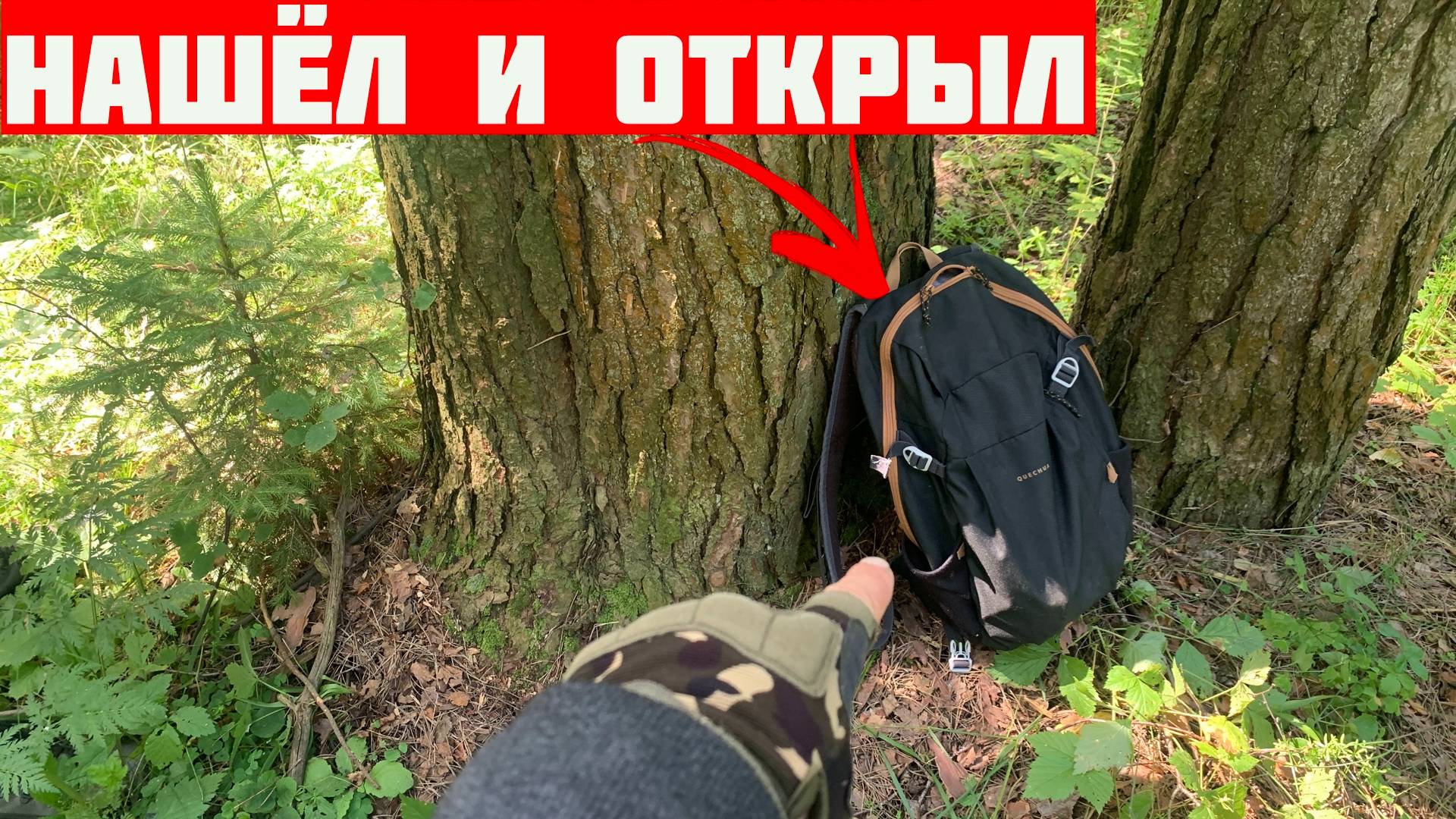 Что, если бы вы нашли таинственный рюкзак в лесу и ОТКРЫЛИ его?