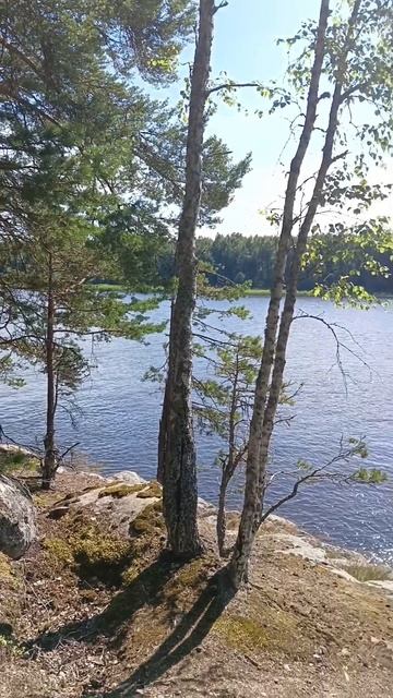 Каменистый остров