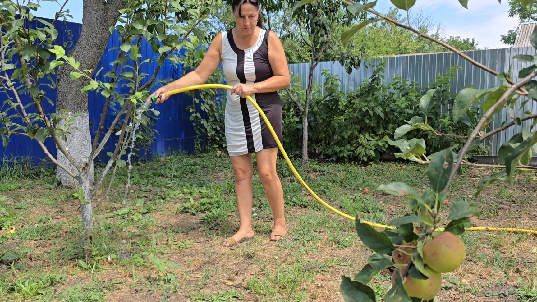 ✨️Лето-запасиха...Зима-Прибериха✨️Варенье...Помидоры..Огурцы ✨️