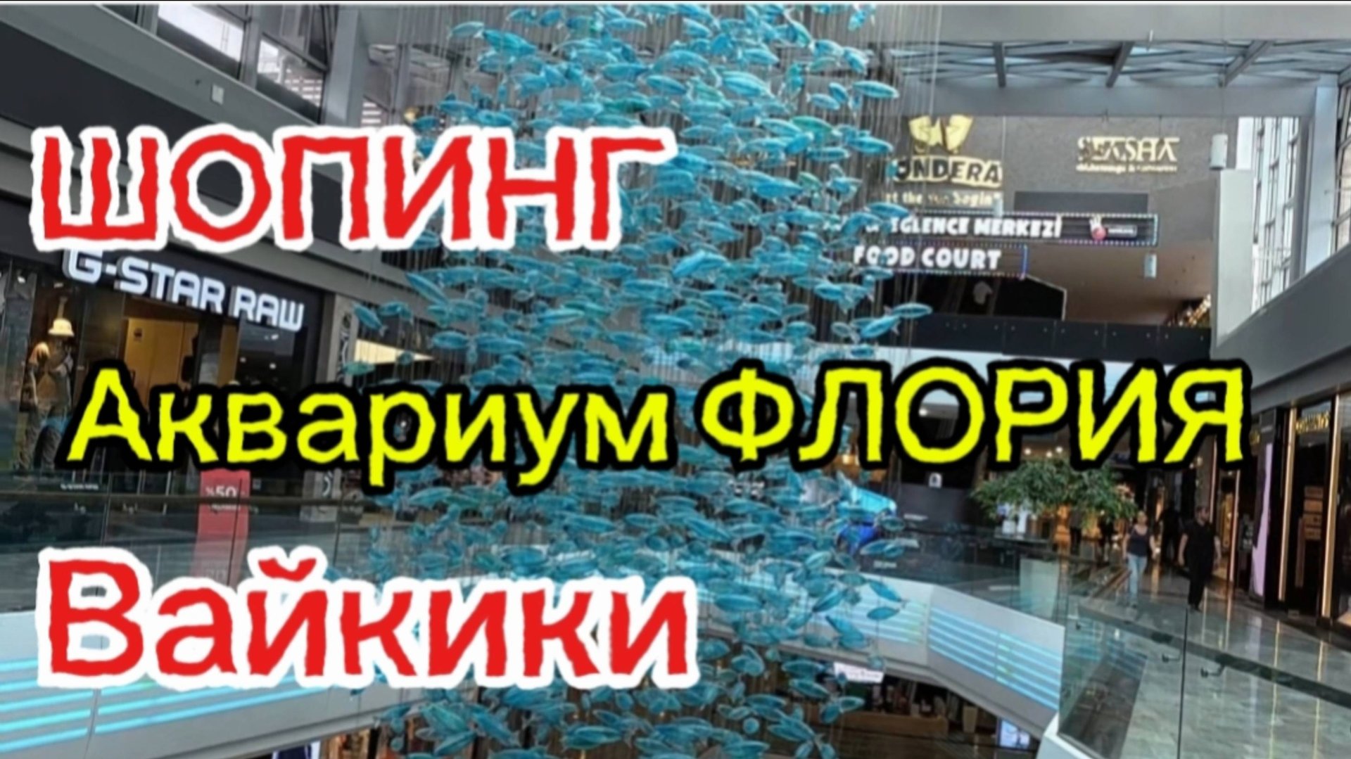 ШОПИНГ в Аквариум ФЛОРИЯ ,Стамбул 2025 г! #Стамбул #Флория