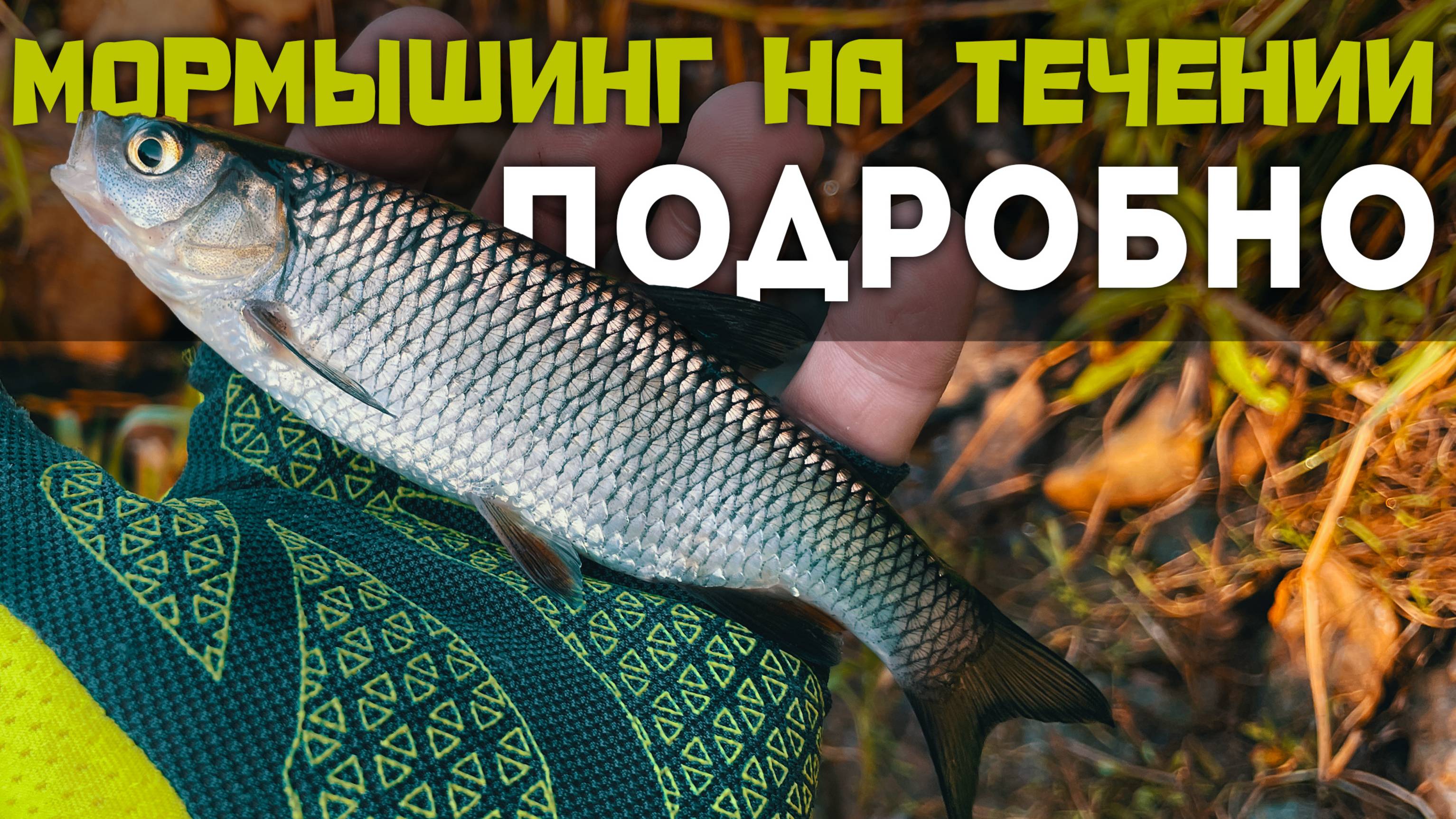 РАСКРЫВАЮ СЕКРЕТЫ! Как поймать ОКУНЯ и ГОЛАВЛЯ на быстрой воде? #мормышинг, который работает!