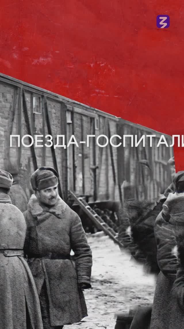 Состав жизни.