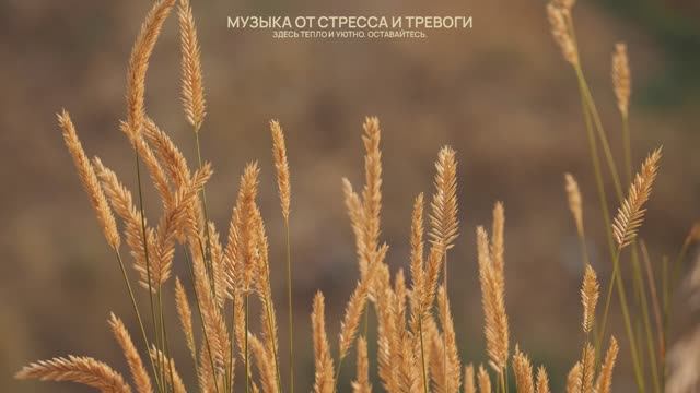 Сейчас отдохни и расслабься на 100% / 60 минут музыки для души / Без слов для релакса