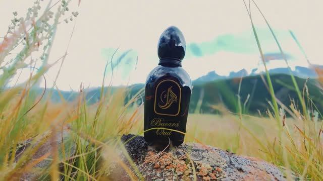 ШЛЕЙФ И СТОЙКОСТЬ 10 из 10 ДАЖЕ НА УЛИЦЕ - Bacara Oud Arabesque Perfumes. Обзор от PARFUM4MEN