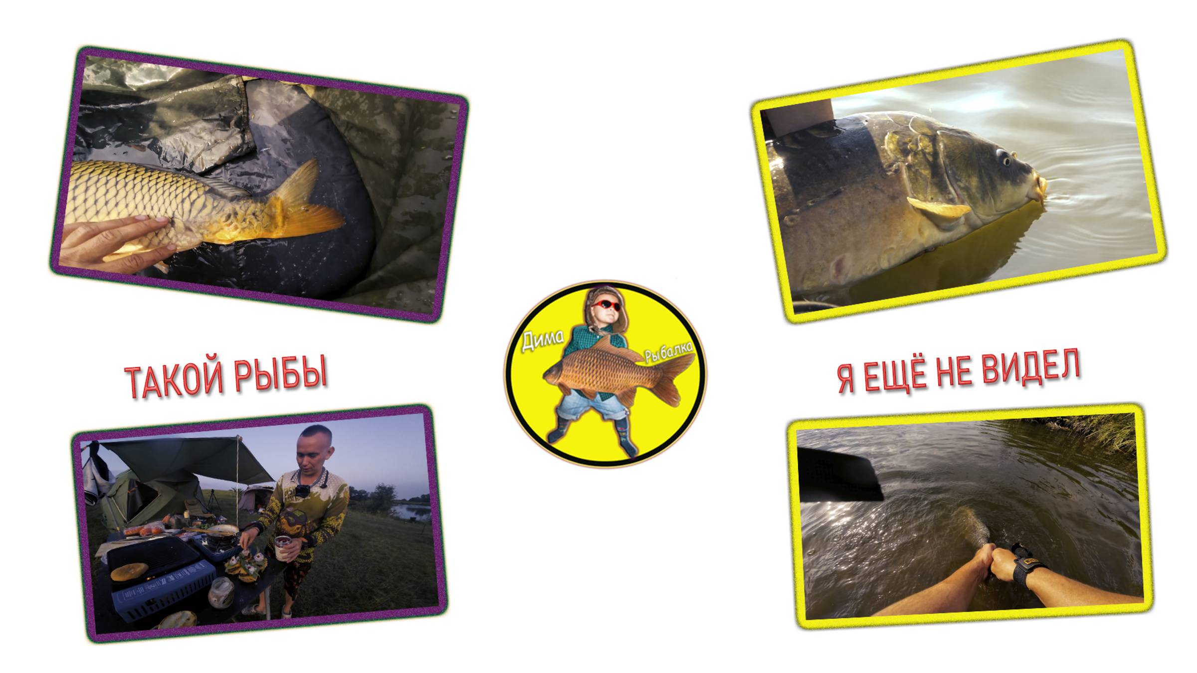 Неожиданный улов на Графках 2