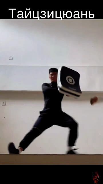 Тайцзицюань Кто может понять силу этого удара?