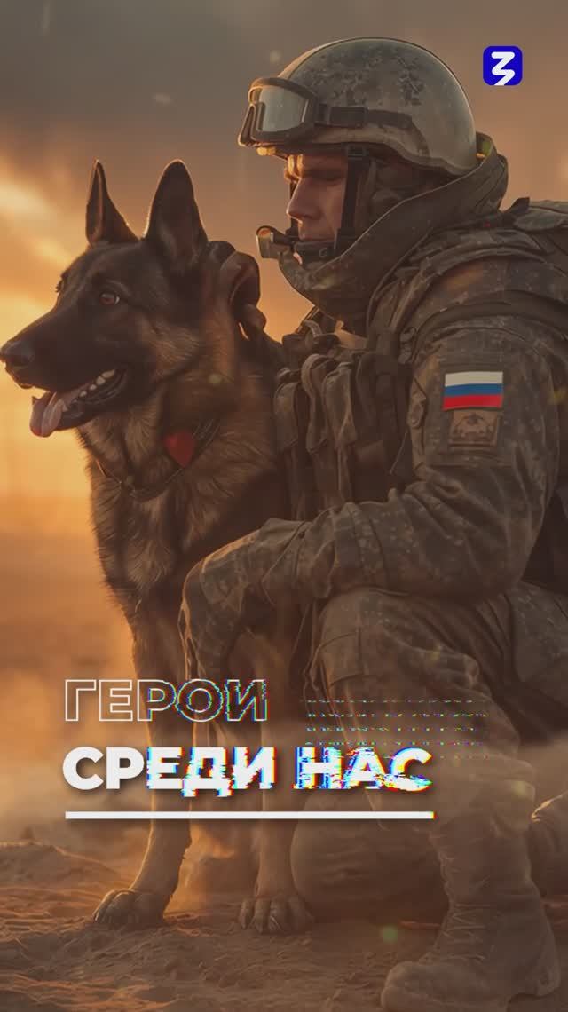 Животные на СВО