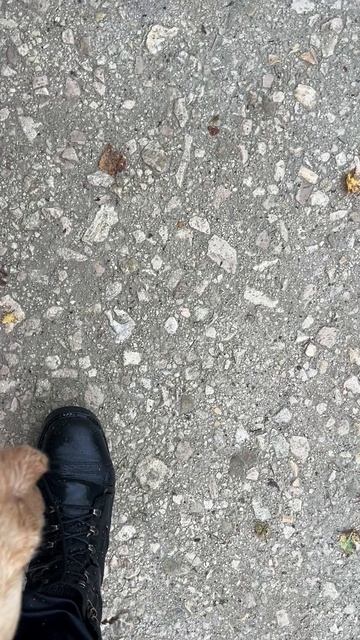 Уля anzl.ru в комарах