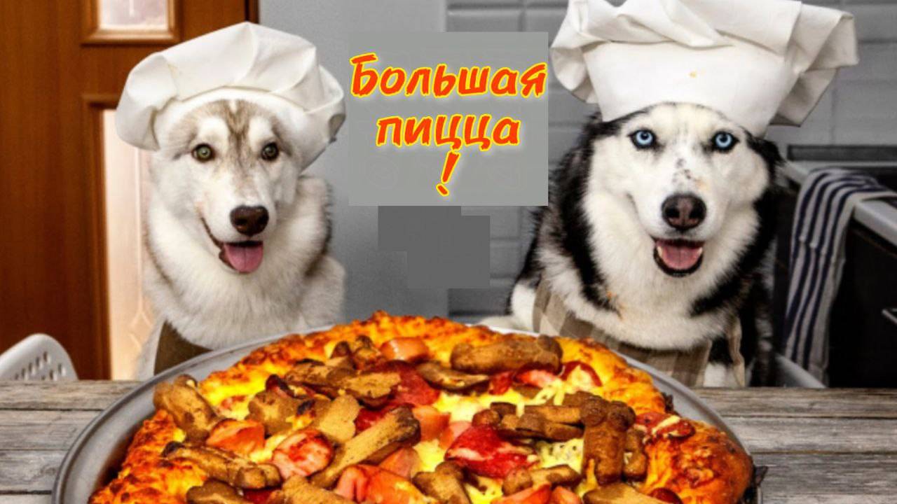 Мои собаки приготовили невероятную пиццу