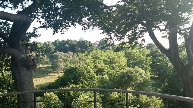 Гринвич, вид с обзорной площадки (Greenwich, the view from One Tree Hill Vista Point)