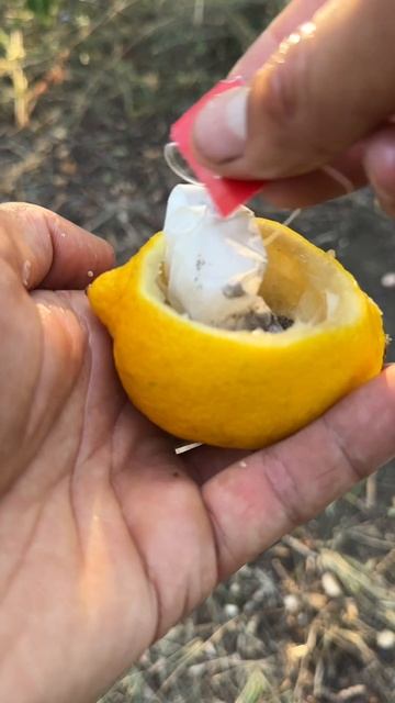 Как сделать лесную кружку