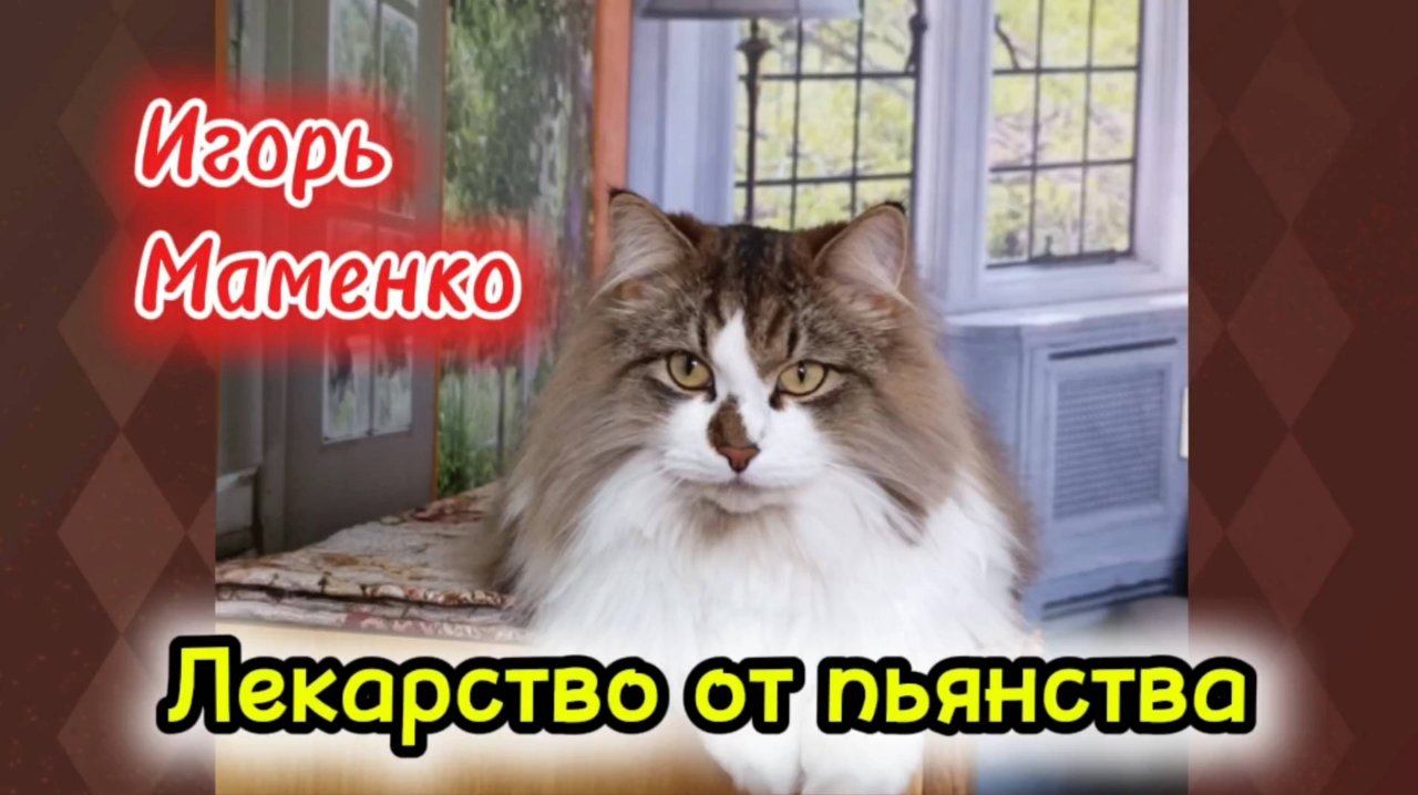 Игорь Маменко лучшее.
 Кошки с озвучками.