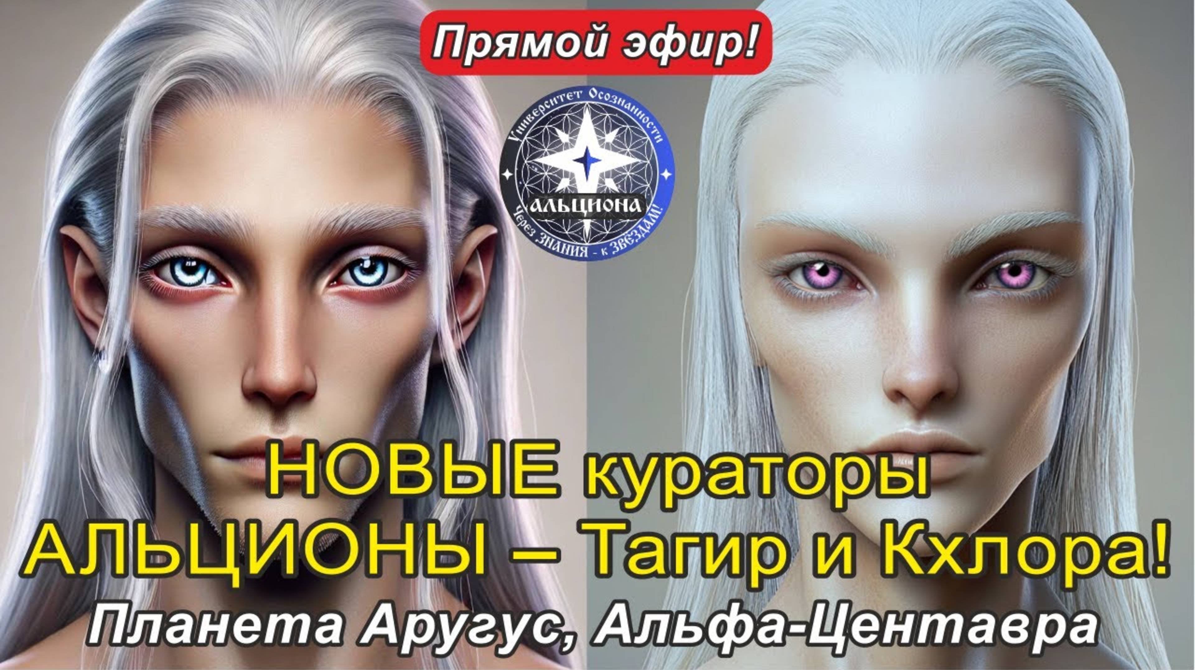 НОВЫЕ кураторы АЛЬЦИОНЫ - Тагир и Кхлора! Планета Аругус, Альфа-Центавра.