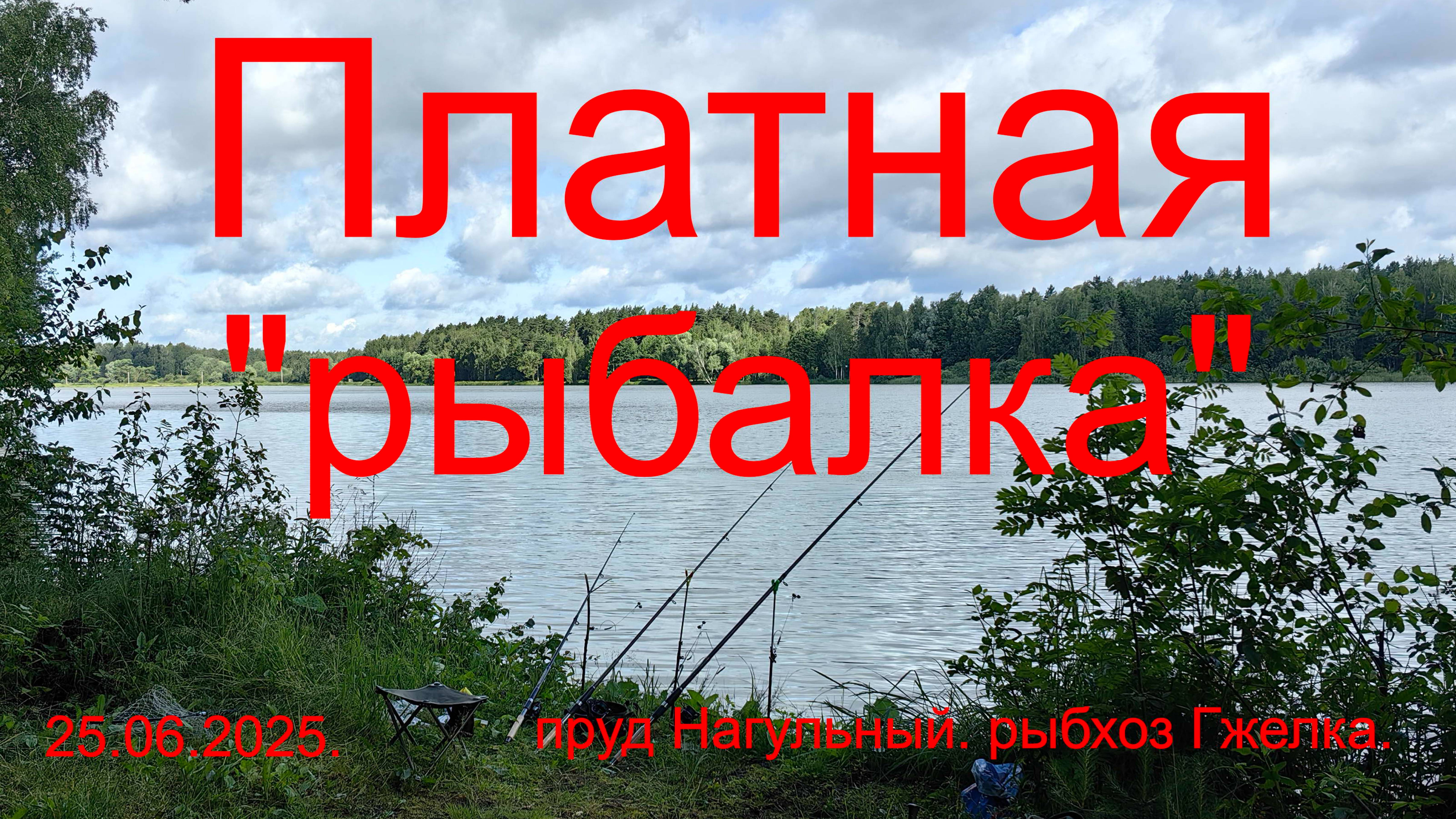 Платная "рыбалка". 25.06.2025. Рыбхоз Гжелка. Пруд Нагульный.