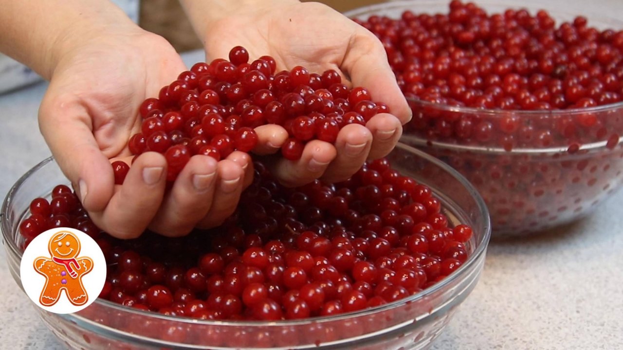 Калиновое "варенье" ✧ Калина на зиму