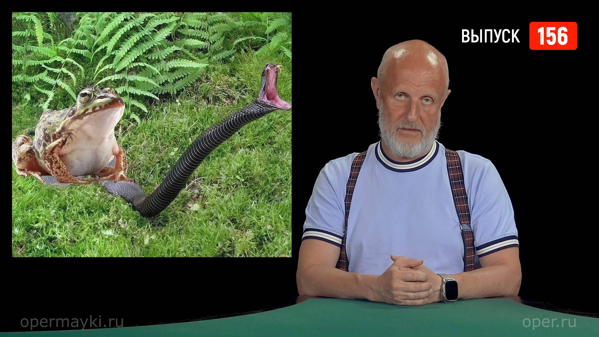 Goblin News 156: украинская коррупция, срок для Обамы, малолетние дебилы в погонах