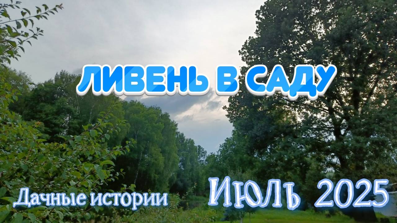Дачные истории: Ливень Июль 2025