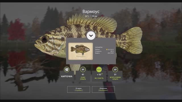 Рыбы с карточками в игре Русская рыбалка 4, коллекция озеро Лосиное, Вармоуз