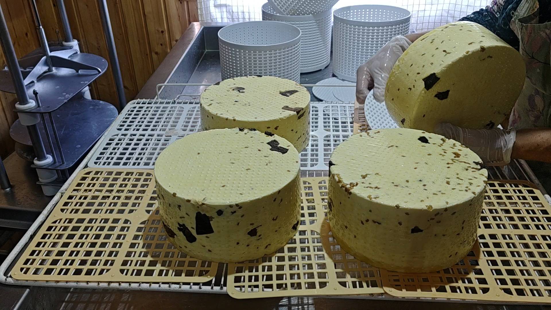 КАЧОТТА С ЛЕСНЫМИ ГРИБАМИ !