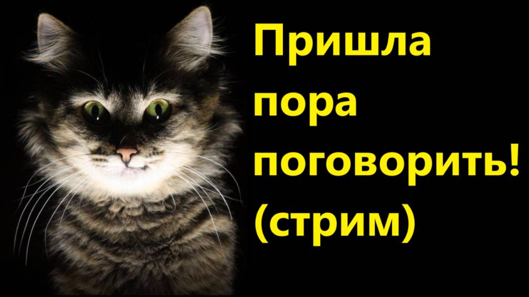 Пришла пора поговорить! (стрим от 25 июля 2025)