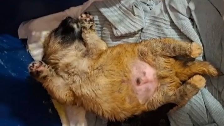 Кормление малышей