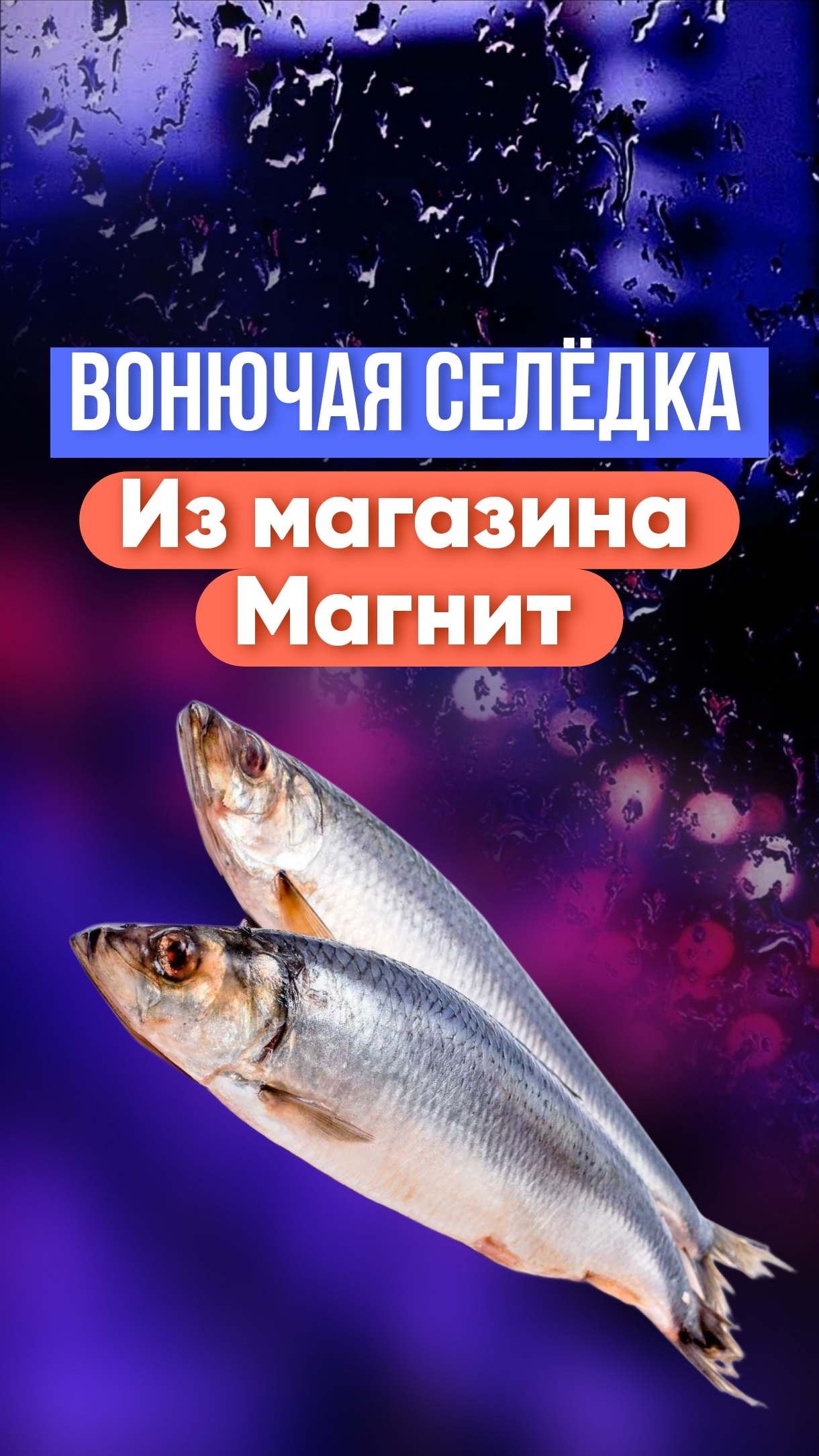 Вонючая селедка из магазина Магнит: это очень не вкусно🤢🤢🤢