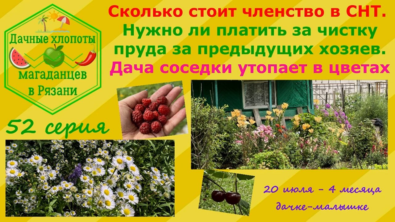 Сколько стоит членство в СНТ. Дача соседки утопает в цветах. Нашей дачке 4 месяца. 52 серия хлопот