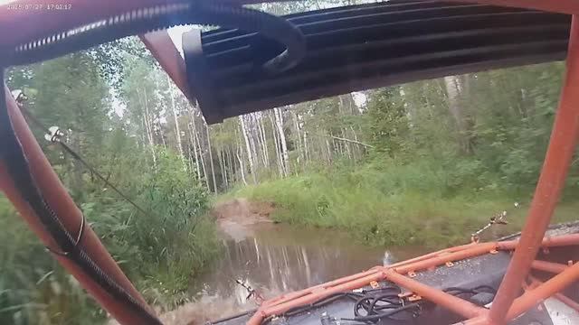 Кисловский лес под музыку