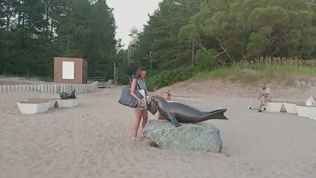 Курортный городок "Мир внутри "/Пляж Дюны / СПб ...26.07.2025г.