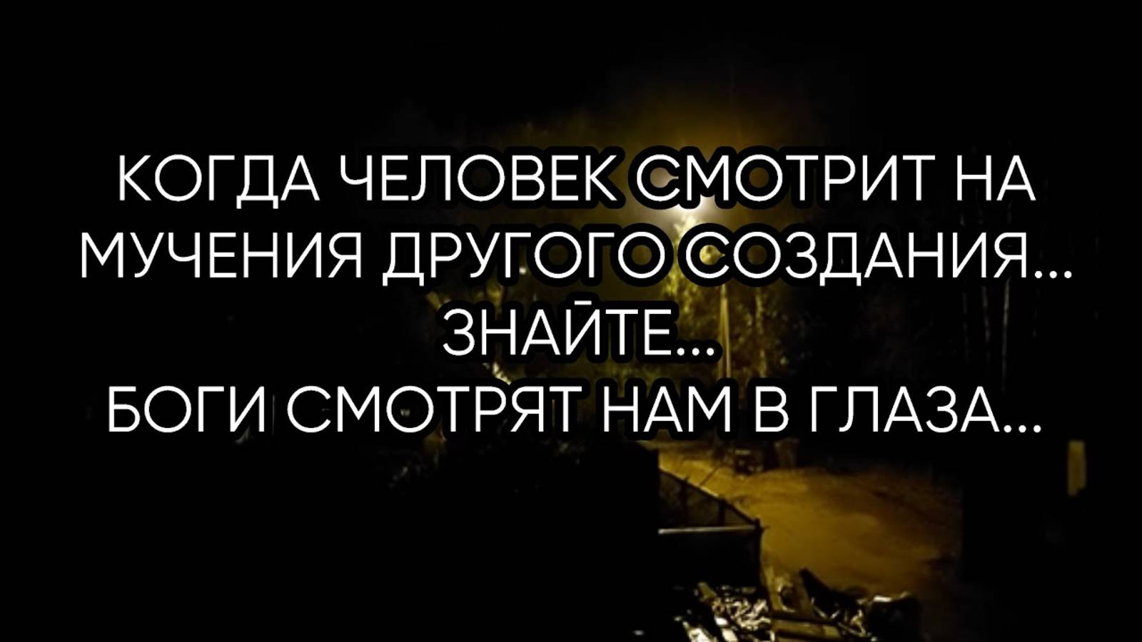 КОГДА ЧЕЛОВЕК СМОТРИТ НА МУЧЕНИЯ ДРУГОГО СОЗДАНИЯ, ЗНАЙТЕ...