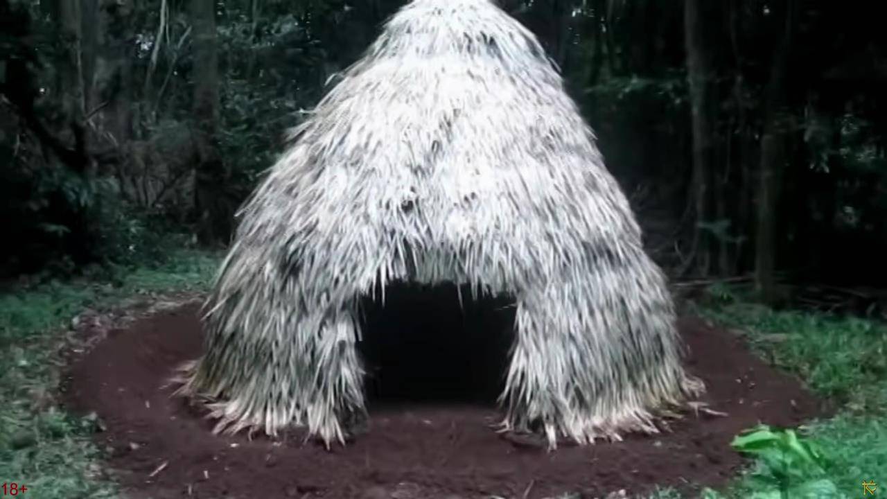 Хижина с соломенным куполом / Выживание