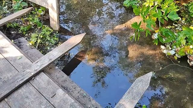 Родник в Верх-Никитино