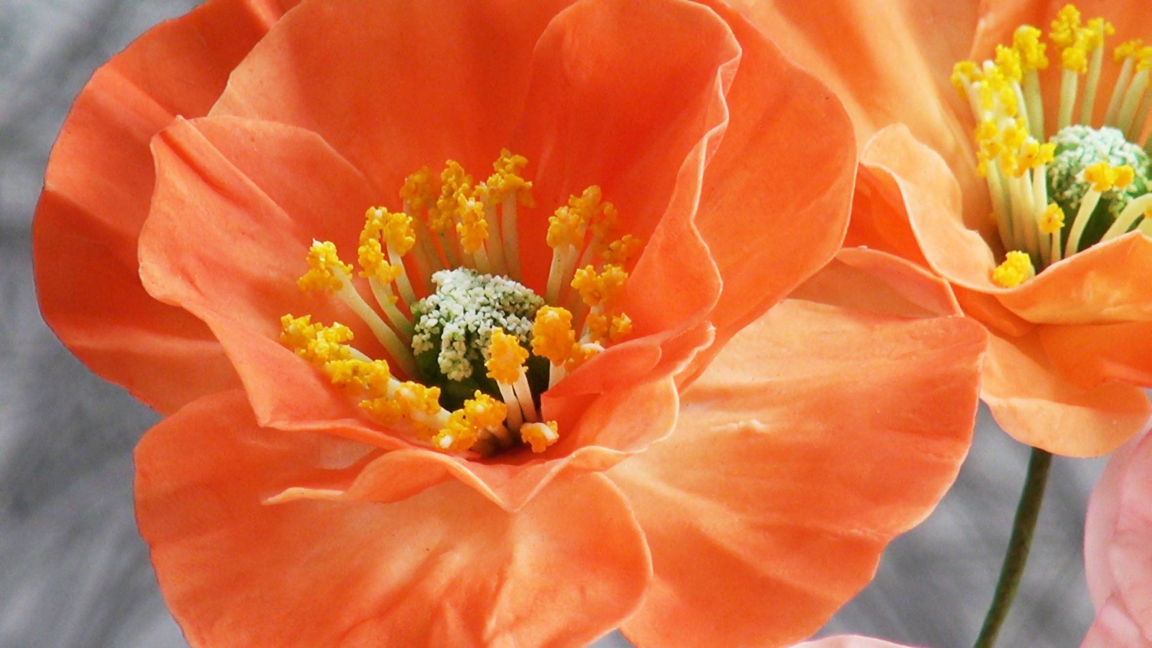 Восточные Маки из сахарной мастики