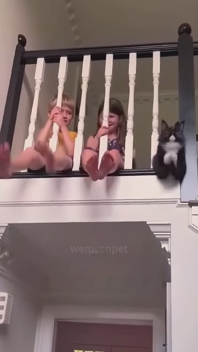 Подумаешь.... Я тоже так умею😀