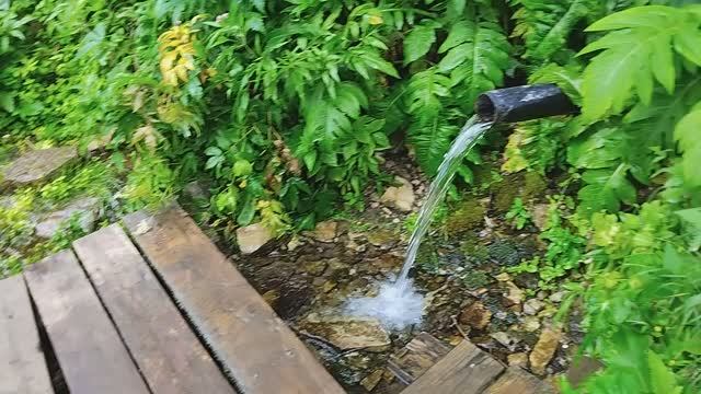 Родник "Толкушка" в Татарии