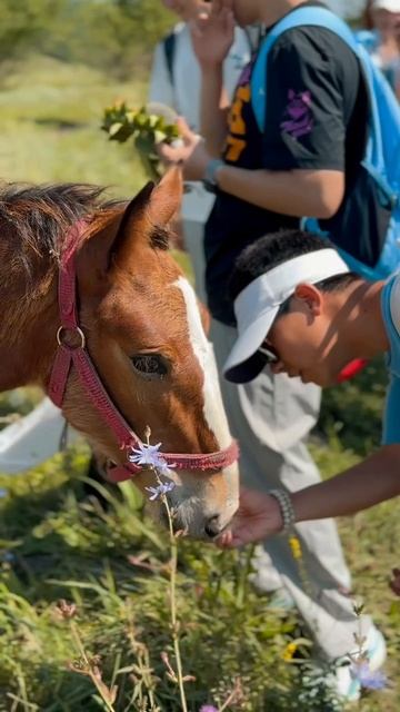 Студенты из Китая познакомились с историей Липецкой земли