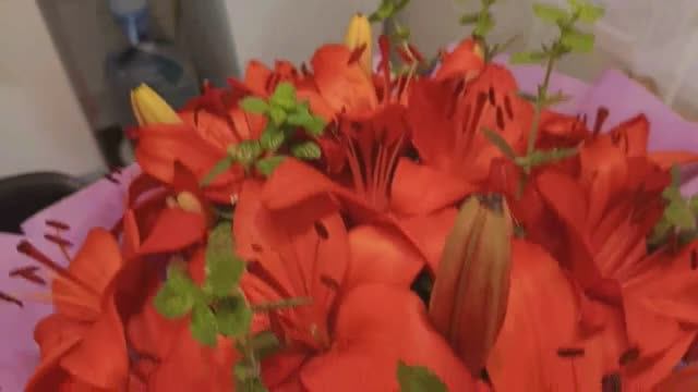 Вернулись на дачу /День рождения / Развлекаем себя как можем ...