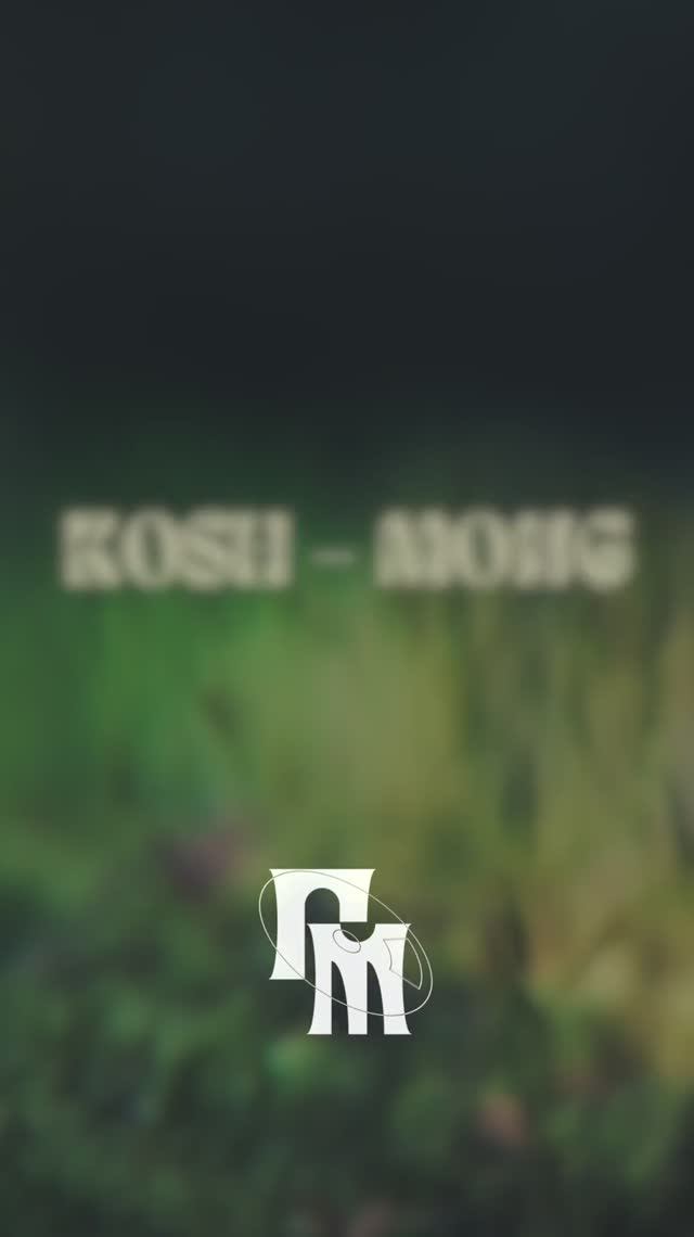 Анонс клипа kosh — mong