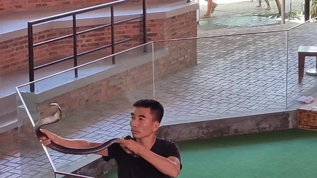 Змеиная ферма, Вьетнам